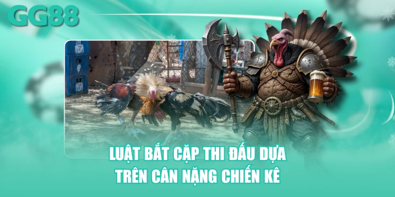 Luật bắt cặp thi đấu dựa trên cân nặng chiến kê