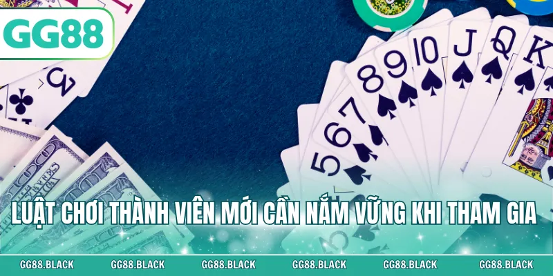 Luật chơi thành viên mới cần nắm vững khi tham gia